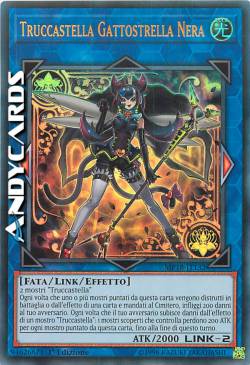 TRUCCASTELLA GATTOSTRELLA NERA