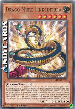 DRAGO MURO LINKCINTURA