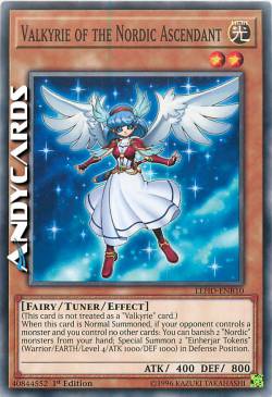 VALKYRIE DEGLI ANTENATI NORDIC