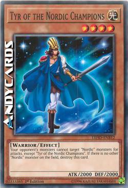 TYR DEI CAMPIONI NORDIC