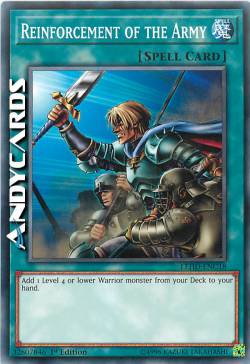 RINFORZI DELL'ESERCITO