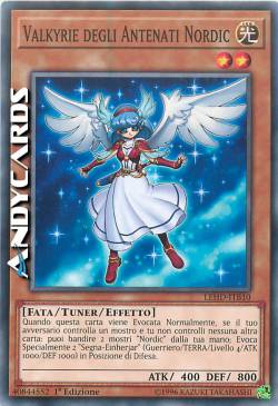 VALKYRIE DEGLI ANTENATI NORDIC