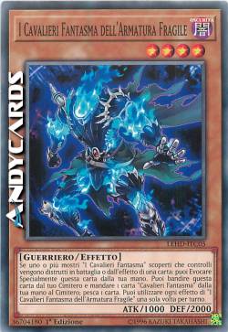 I CAVALIERI FANTASMA DELL'ARMATURA FRAGILE
