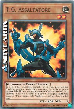 T.G. ASSALTATORE