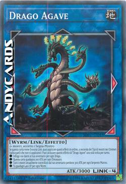 DRAGO AGAVE