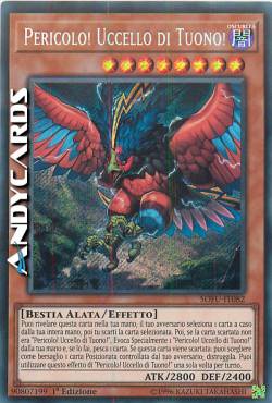 PERICOLO! UCCELLO DI TUONO!