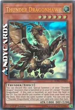 FALCODRAGO DEL TUONO