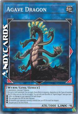 DRAGO AGAVE