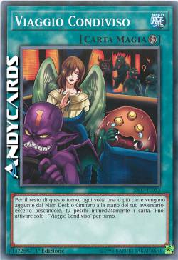 VIAGGIO CONDIVISO