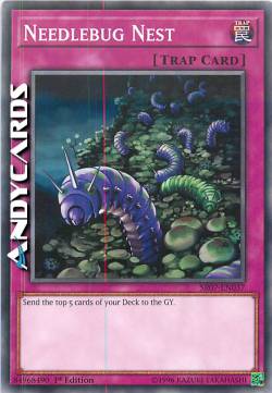 NIDO DEGLI SCARAFAGGI PUNGIGLIONE