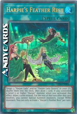 RIPOSO DI PIUME DELL'ARPIA