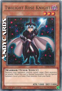 CAVALIERE DELLA ROSA DEL CREPUSCOLO