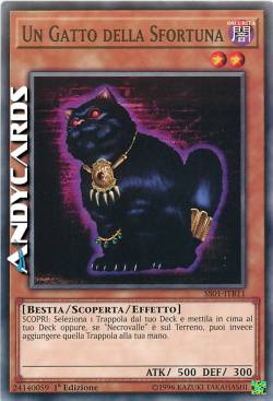 UN GATTO DELLA SFORTUNA