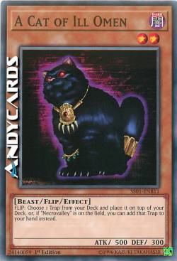 UN GATTO DELLA SFORTUNA