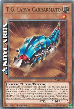 T.G. LARVA CARRARMATO