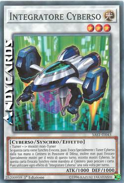 INTEGRATORE CYBERSO