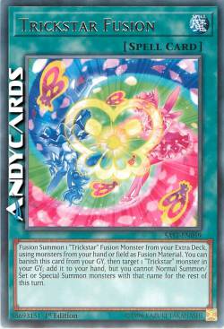 FUSIONE TRUCCASTELLA