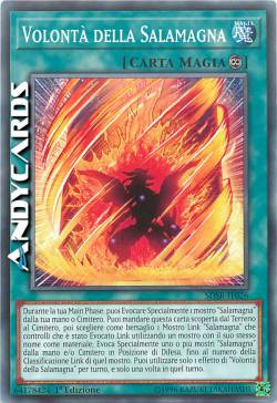 VOLONTÀ DELLA SALAMAGNA