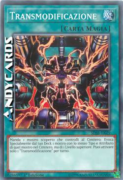 TRANSMODIFICAZIONE