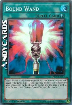 BACCHETTA DEL LEGAME