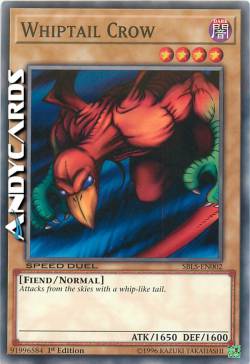 CORVO CODA-DI-FRUSTA