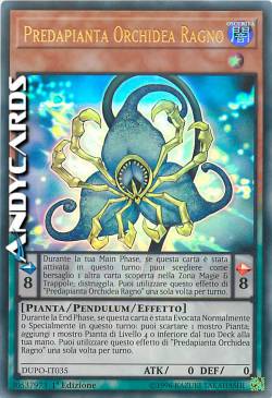 PREDAPIANTA ORCHIDEA RAGNO