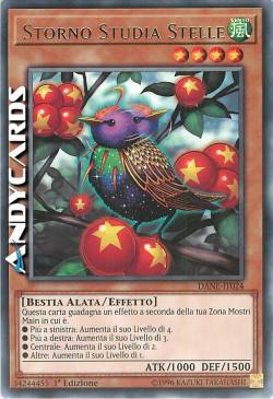 STORNO STUDIA STELLE