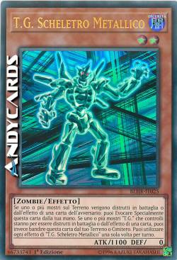 T.G. SCHELETRO METALLICO