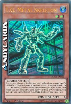 T.G. SCHELETRO METALLICO