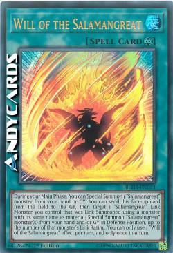 VOLONTÀ DELLA SALAMAGNA