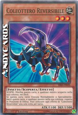 COLEOTTERO REVERSIBILE