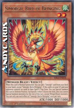 SIMORGH, VOLATILE DELLA REALIZZAZIONE