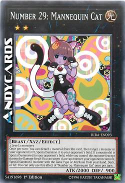 NUMERO 29: GATTA MANICHINO