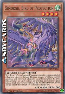 SIMORGH, VOLATILE DELLA PROTEZIONE