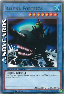 BALENA FORTEZZA