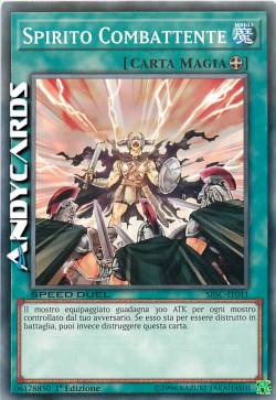 SPIRITO COMBATTENTE