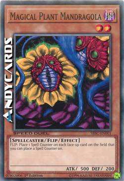 MANDRAGOLA PIANTA MAGICA