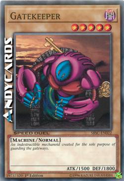 CUSTODE DEL CANCELLO