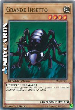 GRANDE INSETTO