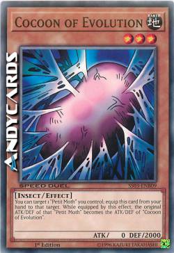 BOZZOLO DELL'EVOLUZIONE