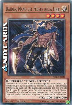 RAIDEN, MANO DEL FEDELE DELLA LUCE