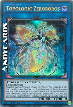 ZEROBOROS TOPOLOGICO