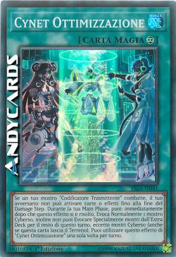 CYNET OTTIMIZZAZIONE