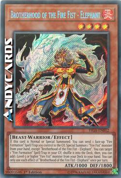 FRATELLANZA DEL PUGNO DI FUOCO - ELEFANTE