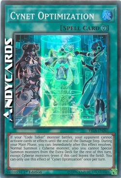 CYNET OTTIMIZZAZIONE