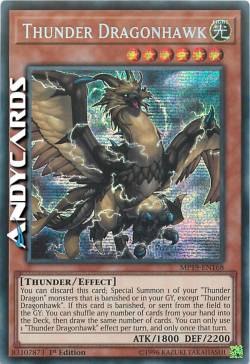 FALCODRAGO DEL TUONO