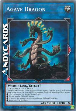 DRAGO AGAVE