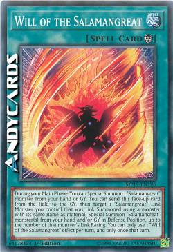 VOLONTÀ DELLA SALAMAGNA