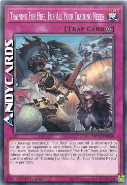 ADDESTRAMENTO PELLICCIA MERCENARIA, TUTTE LE VOSTRE NECESSITÀ