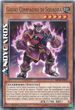 GOUKI COMPAGNO DI SQUADRA